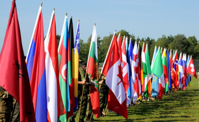 Флаг стран как символ разности политических  систем